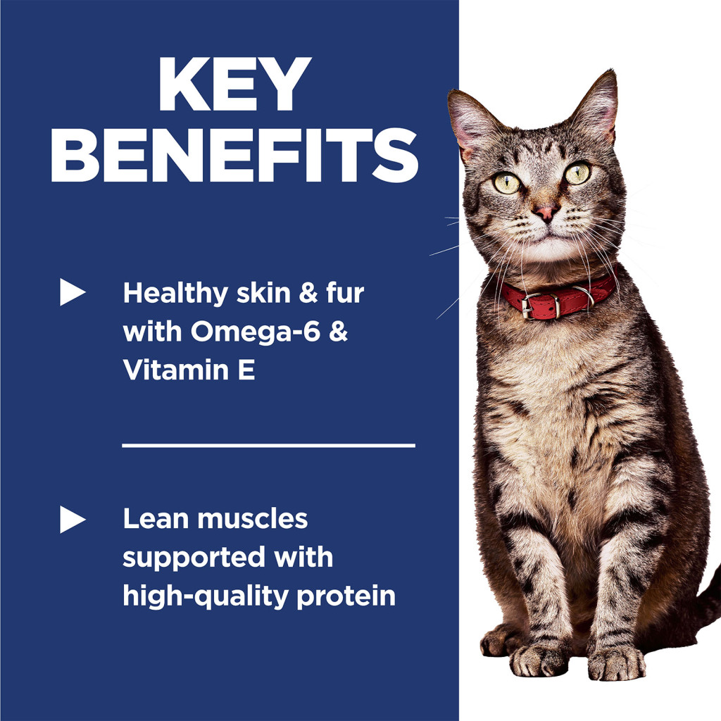 HILLS Science Diet Optimal Care Chicken Adult Dry Cat Food