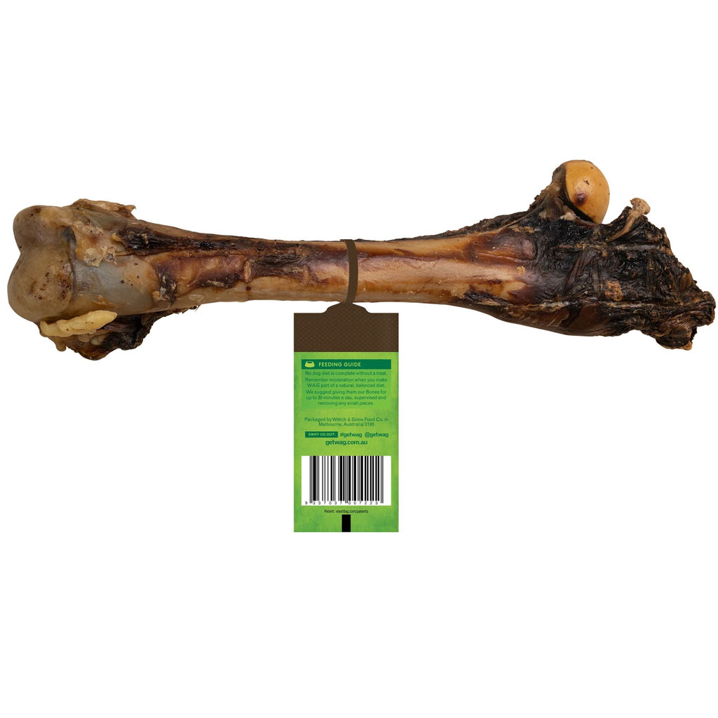 WAG Kangaroo Large Bone