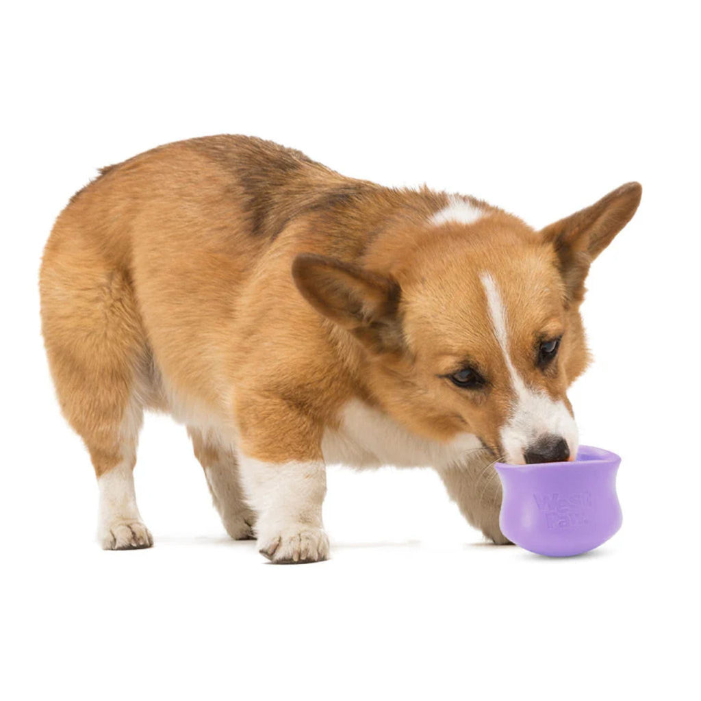 West Paw Toppl Treat Dispensing Dog Toys