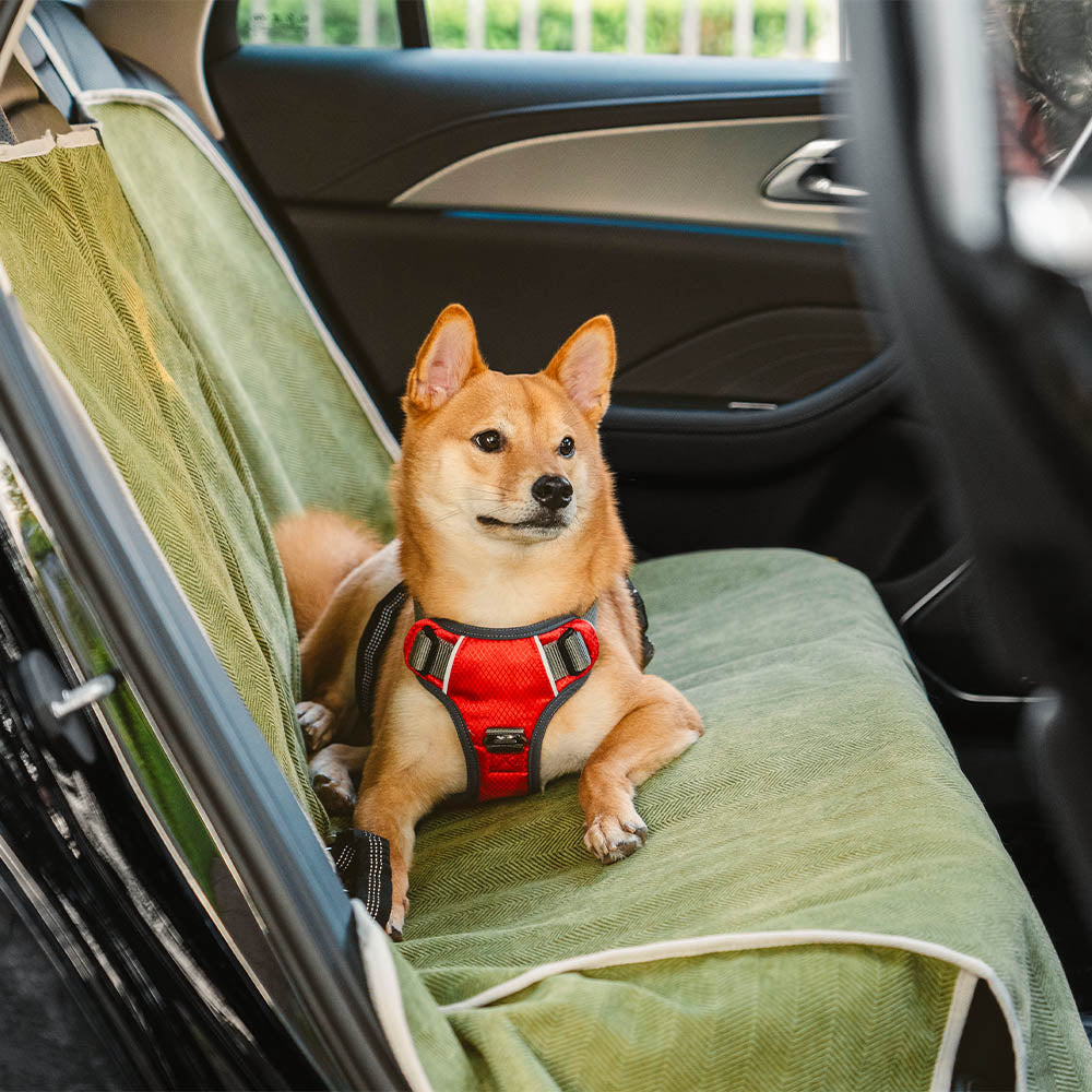 Waterproof Soft Dog Car Seat Cover Car Seat Protector - Be Fresh
