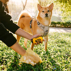 FUNNYFUZZY Waterproof Leash Attachable Poop Bag Dispenser - Flexi Walker