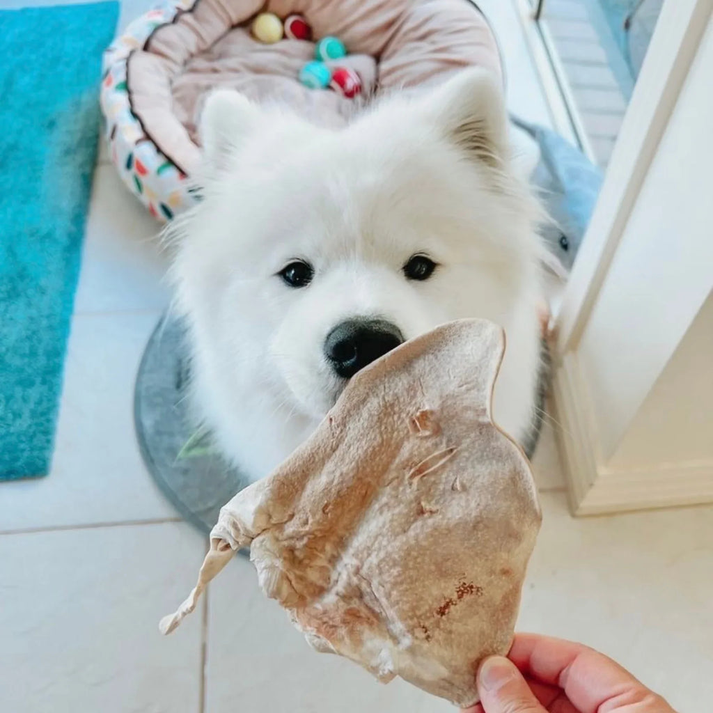 Freezy Paws Freeze Dried Pig Ear Pet Treats for Cats & Dogs