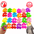 2952 PK24 Plastic Cherry Beads