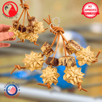 1056 Palm and Pod Forage Cluster