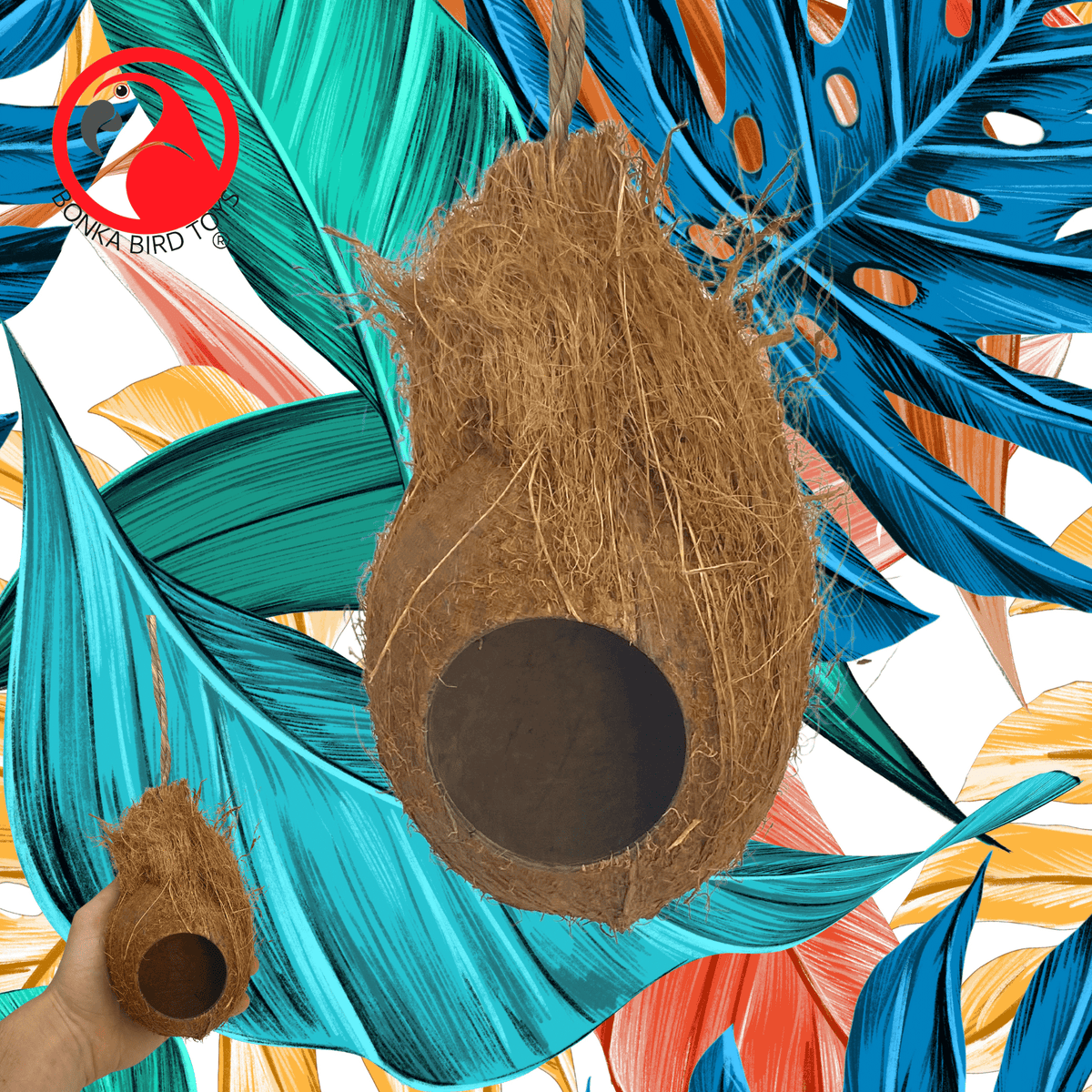 872 Coconut Hut