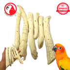 Natural Gobi Tail