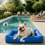 Fully Orthopedic Surround Support Waterproof Large Outdoor Dog Bed