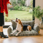 SnugNest Textured Stripe Dog Sofa Bed