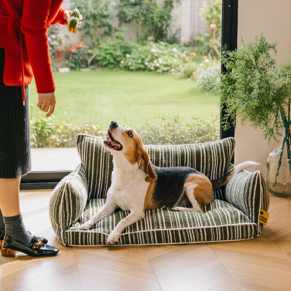 SnugNest Textured Stripe Dog Sofa Bed
