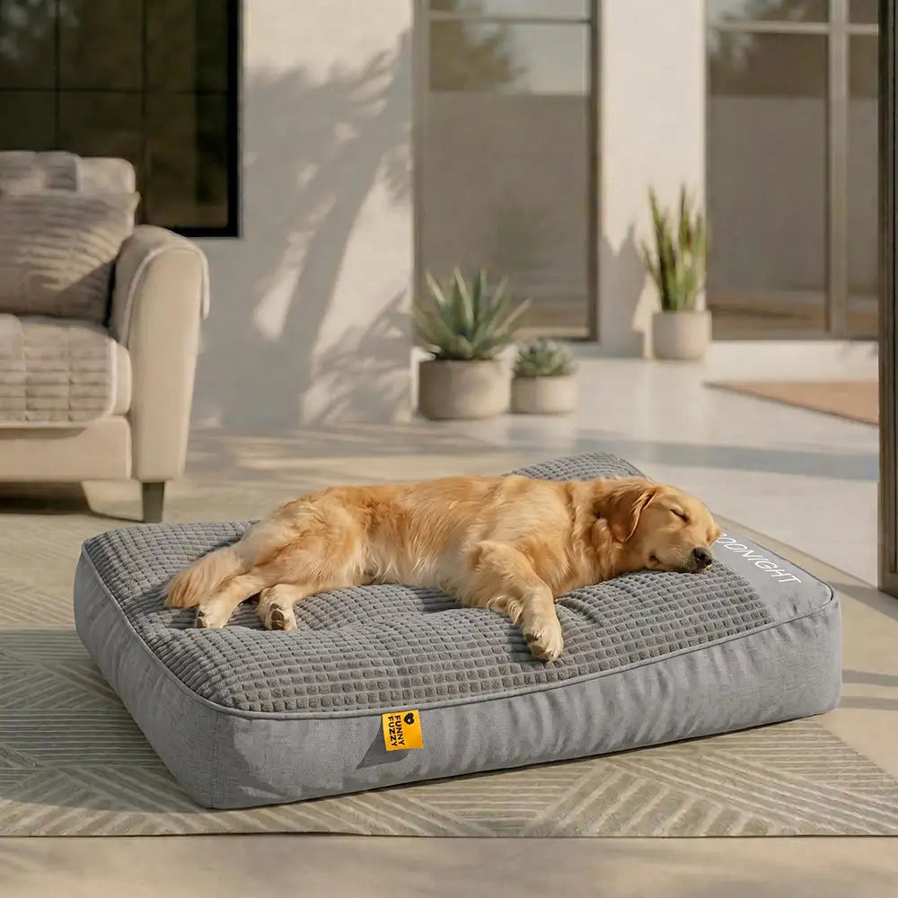 Large Thick Scratch-resistant Spine Protection Dog Cushion Bed