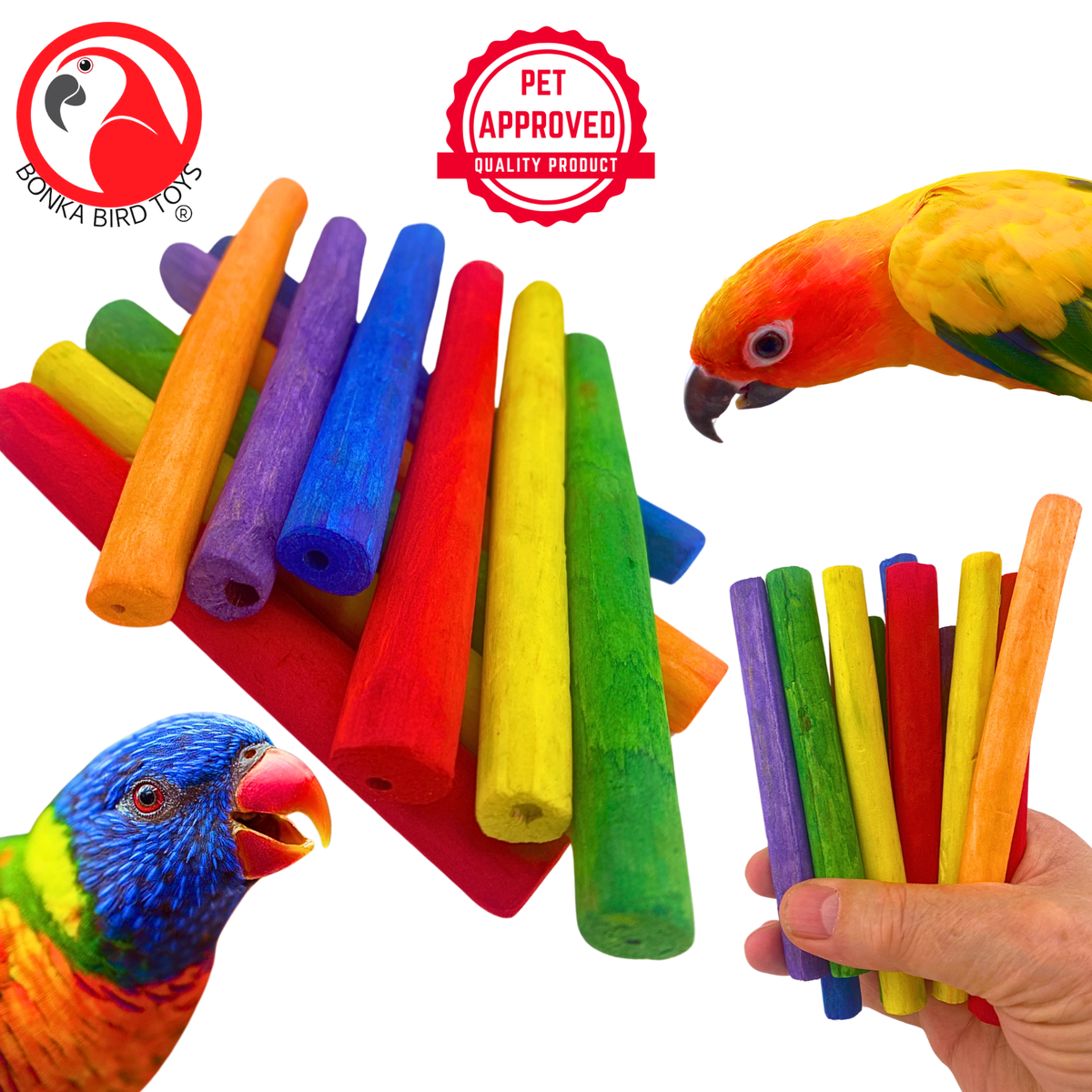 2638 Pk12 Thin Colored Sola Sticks