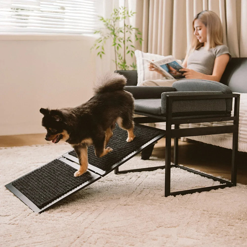Elevated Pet Sofa Bed with Stairs Ramp for Bed Bedside Lounge or Dog Window Perch
