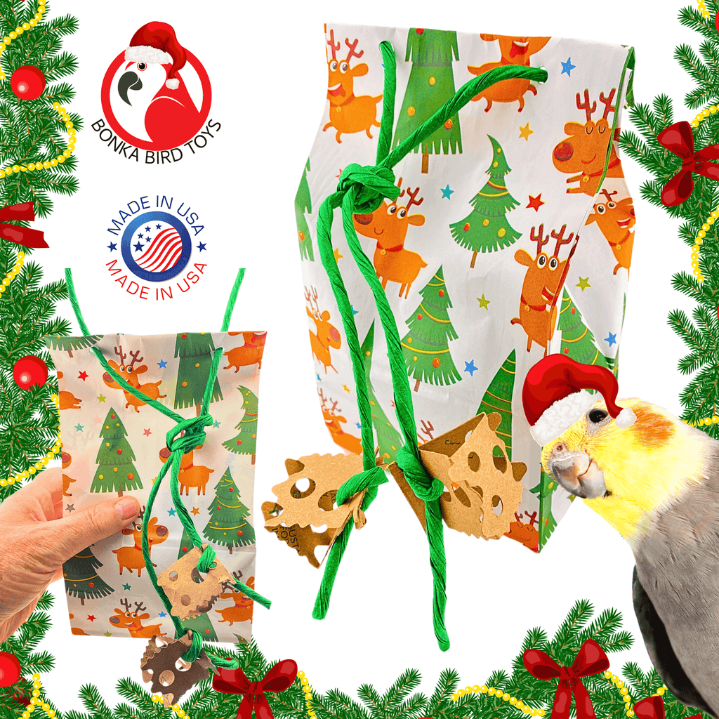2750 Christmas Rudolph Treat Bag