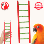 30802 Small 11" Pedi-Ladder
