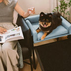 Elevated Pet Sofa Bed with Stairs Ramp for Bed Bedside Lounge or Dog Window Perch