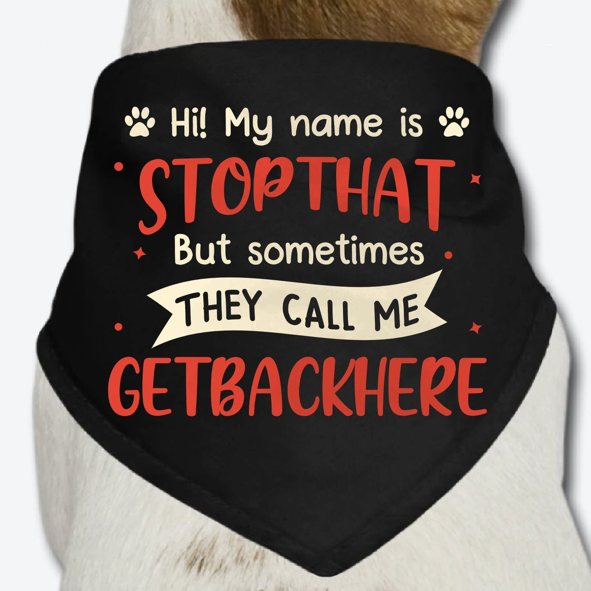 My Name Is Stop That - Dog Bandana