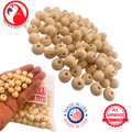 1249 Pk100 Wooden Pre-Drilled Beads