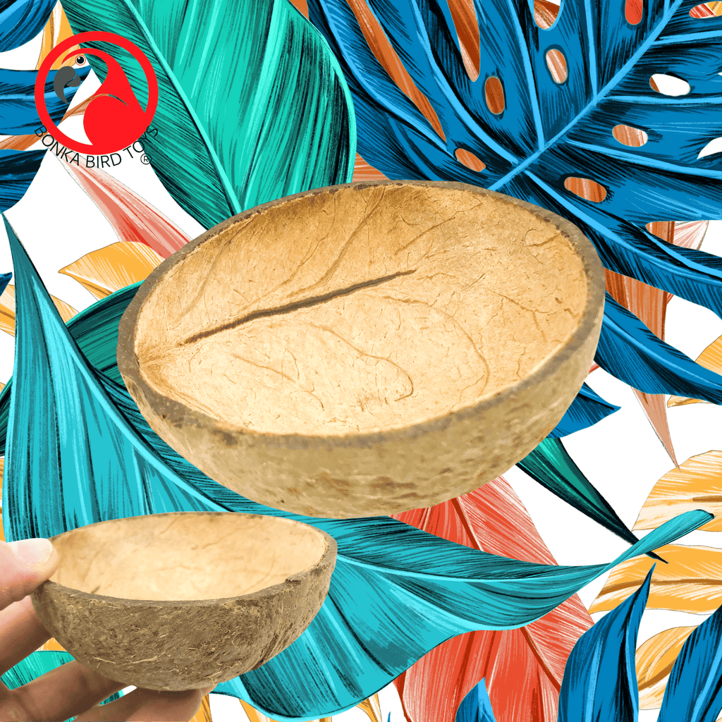 2054 Coconut Cup Flat Base