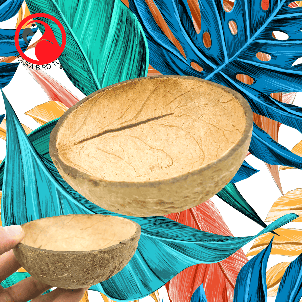 2054 Coconut Cup Flat Base