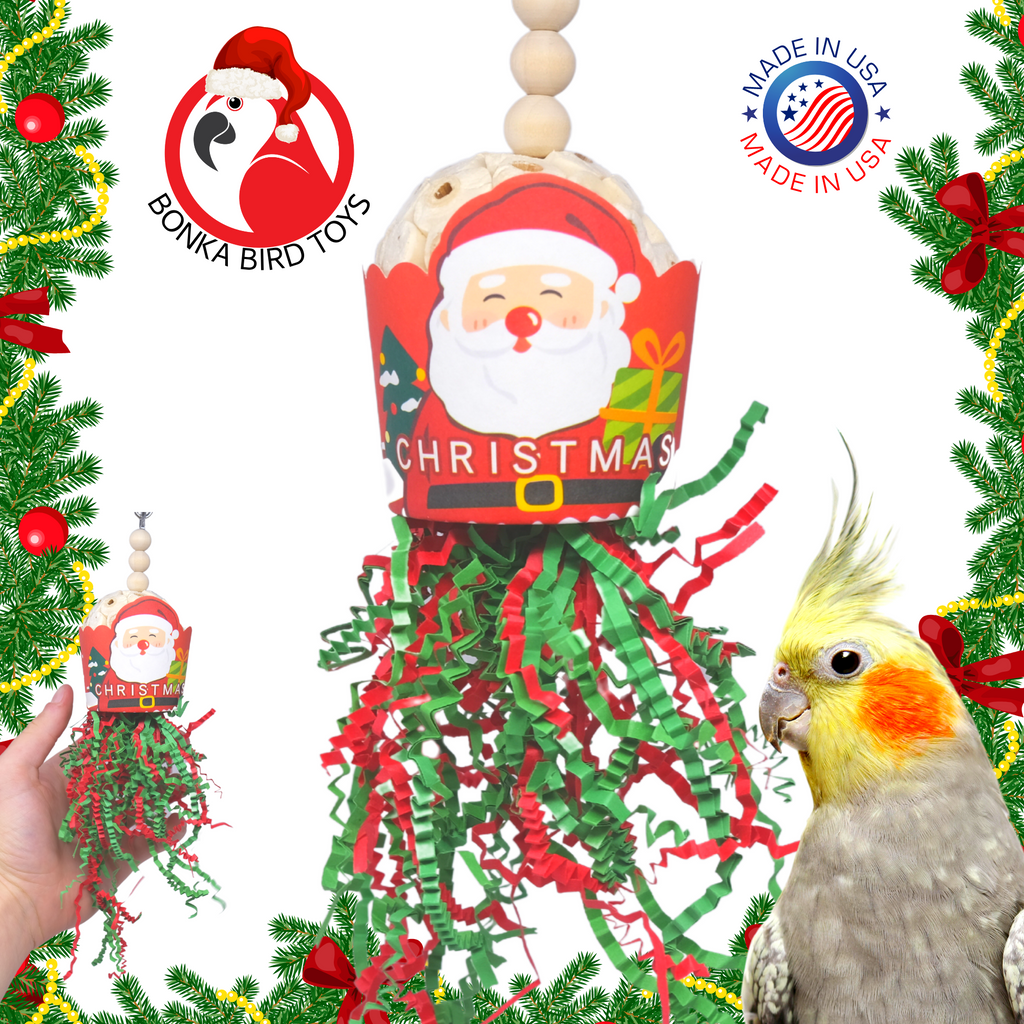 2438 Santa Sola Cup Christmas