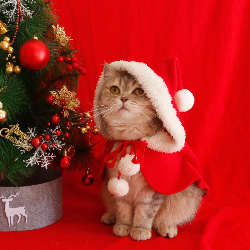 🔥Christmas Sale🔥Pet Christmas Cape