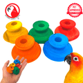 2933 Pk5 Colored Wooden Knobs