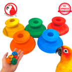 2933 Pk5 Colored Wooden Knobs