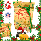 2752 Merry Christmas Treat Bag