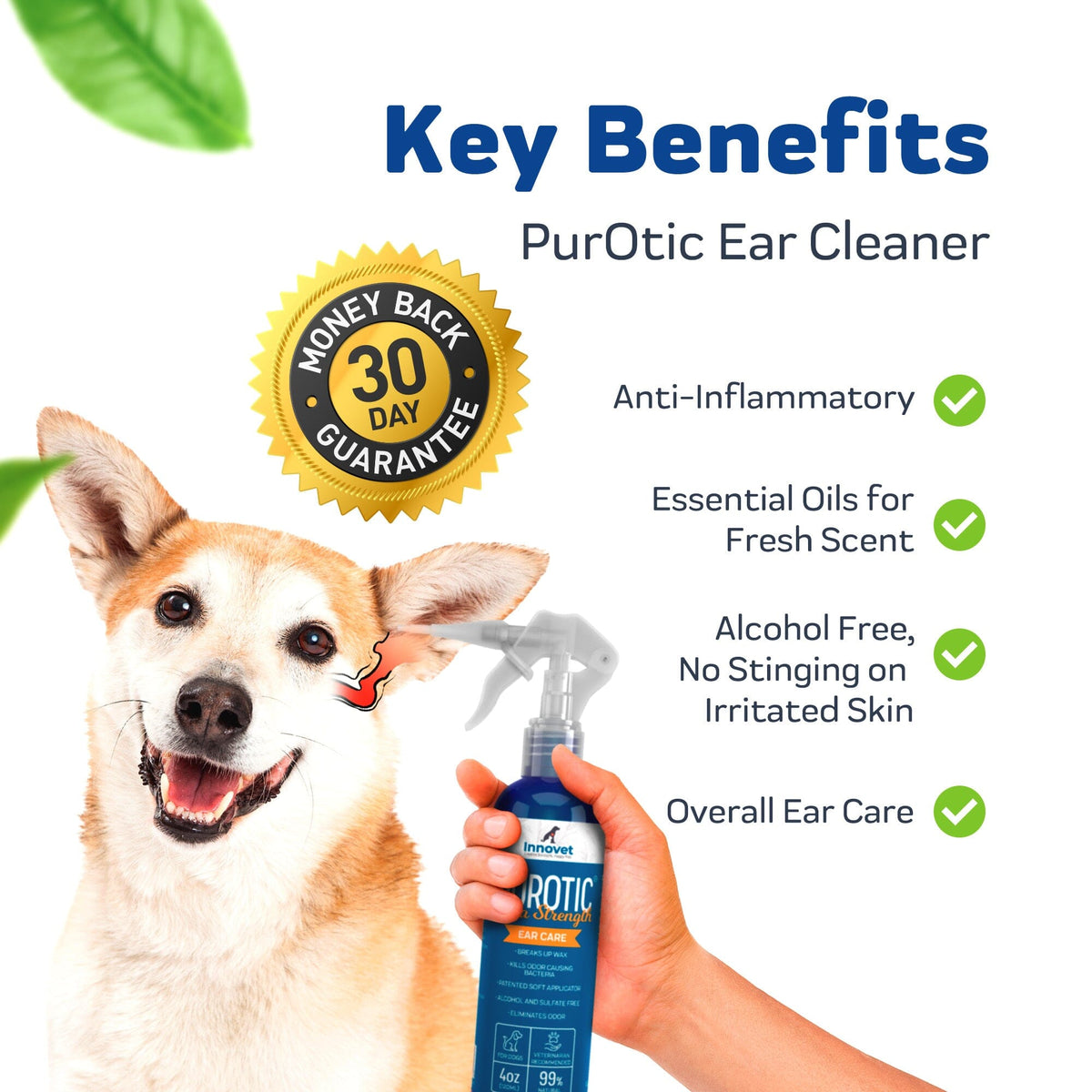 PurOtic Dog Ear Cleaner and Ear Dryer