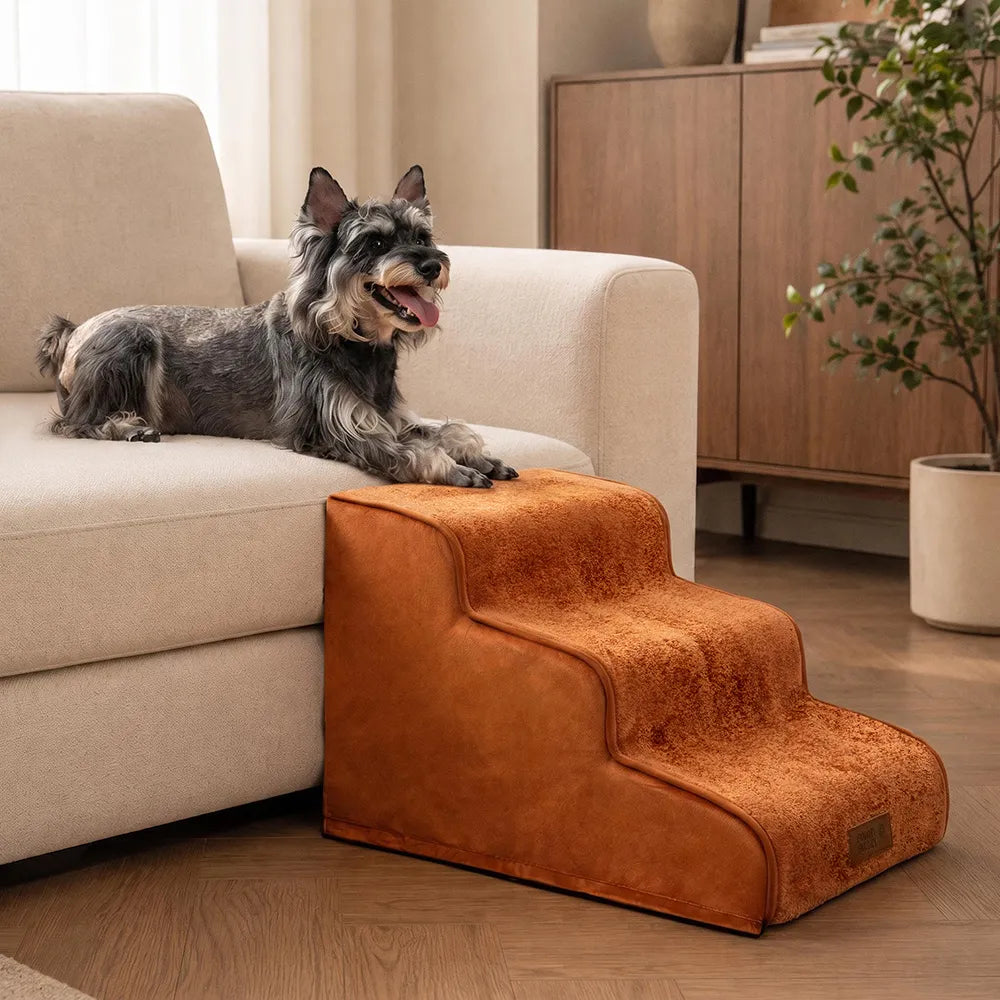Plush Velvet 2-in-1 Foam Dog Stairs for Beds & Couches