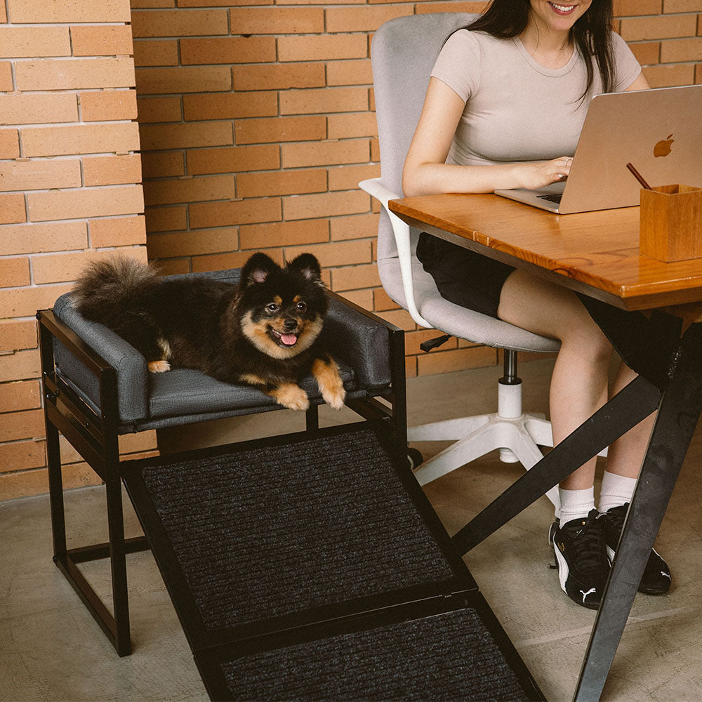 Elevated Pet Sofa Bed with Stairs Ramp for Bed Bedside Lounge or Dog Window Perch