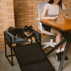 Elevated Pet Sofa Bed with Stairs Ramp for Bed Bedside Lounge or Dog Window Perch