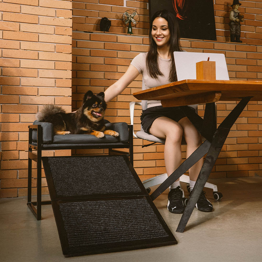 Elevated Pet Sofa Bed with Stairs Ramp for Bed Bedside Lounge or Dog Window Perch