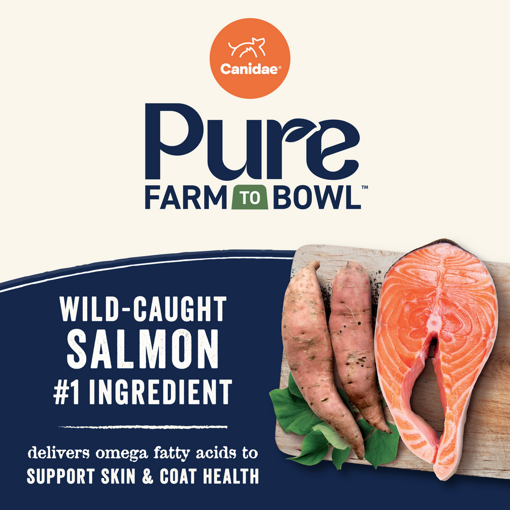 Canidae PURE Grain Free Dry Dog Food - Salmon & Sweet Potato