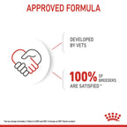 Royal Canin Mother & Babydog Starter Ultra Soft Mousse