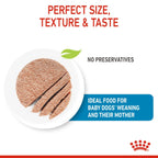 Royal Canin Mother & Babydog Starter Ultra Soft Mousse