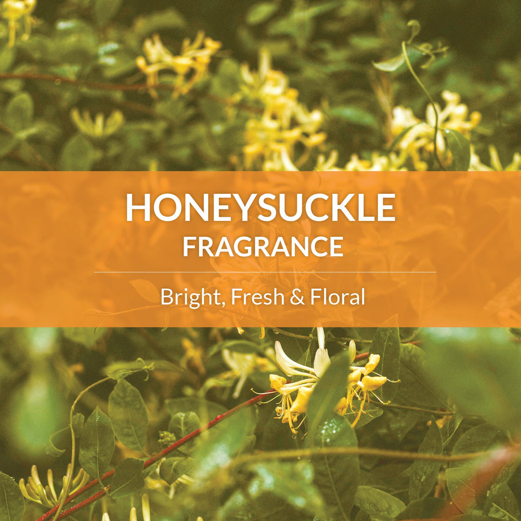 Skouts Honor Probiotic Shampoo Plus Conditioner Honeysuckle