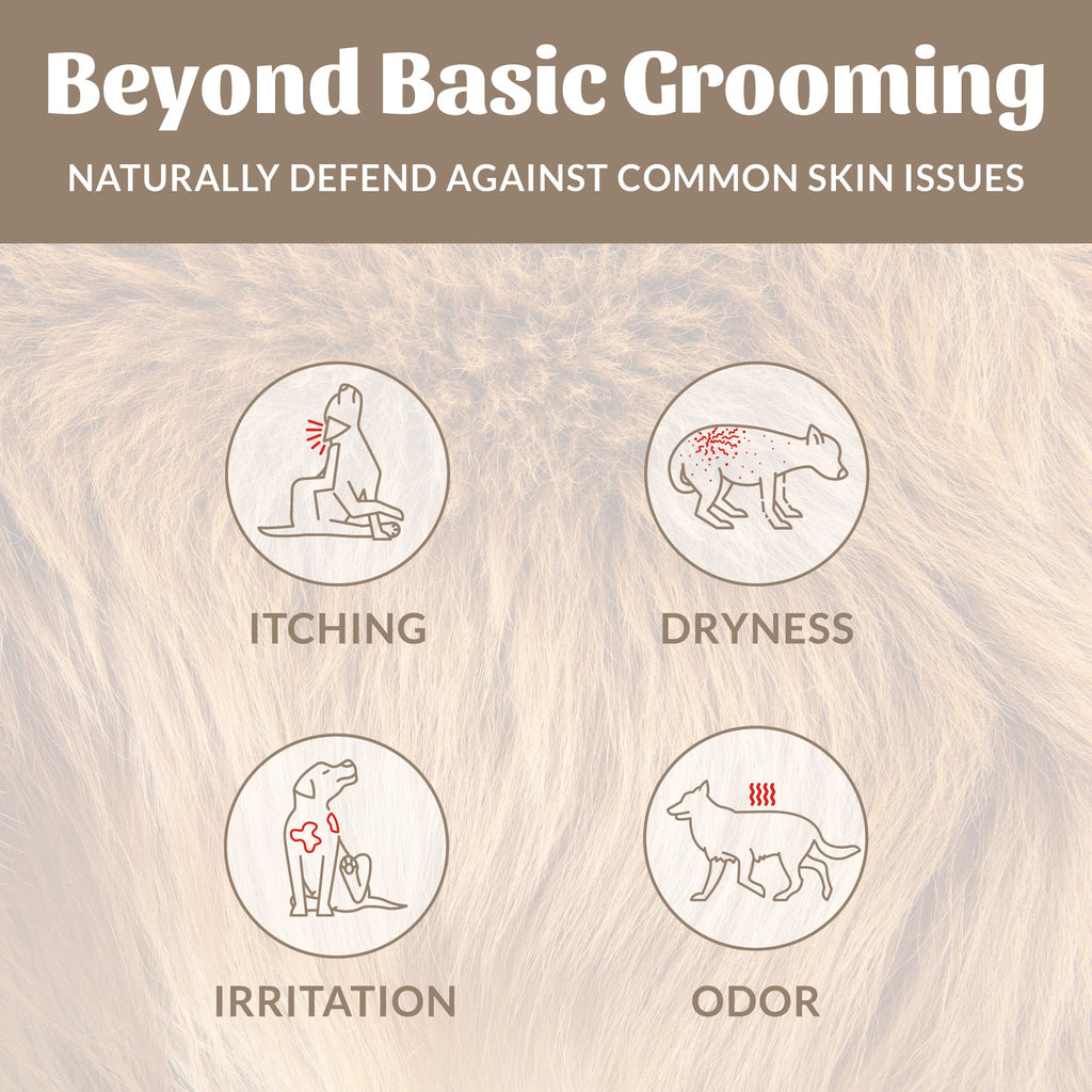 Skouts Honor Probiotic Shampoo Plus Conditioner Dog of the Woods