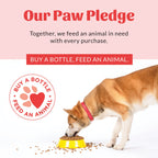 Skout's Honor Probiotic Paw Spray For Dogs and Cats