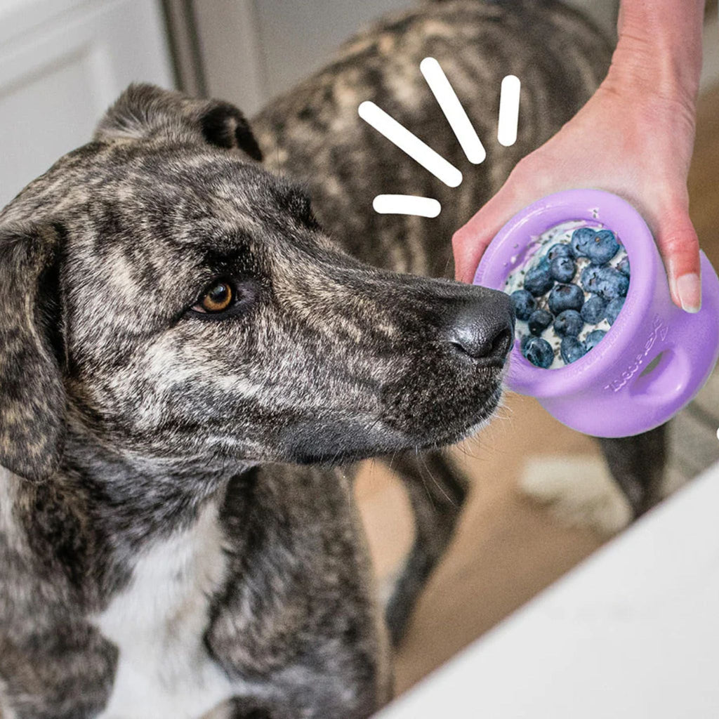 West Paw Toppl Treat Dispensing Dog Toys