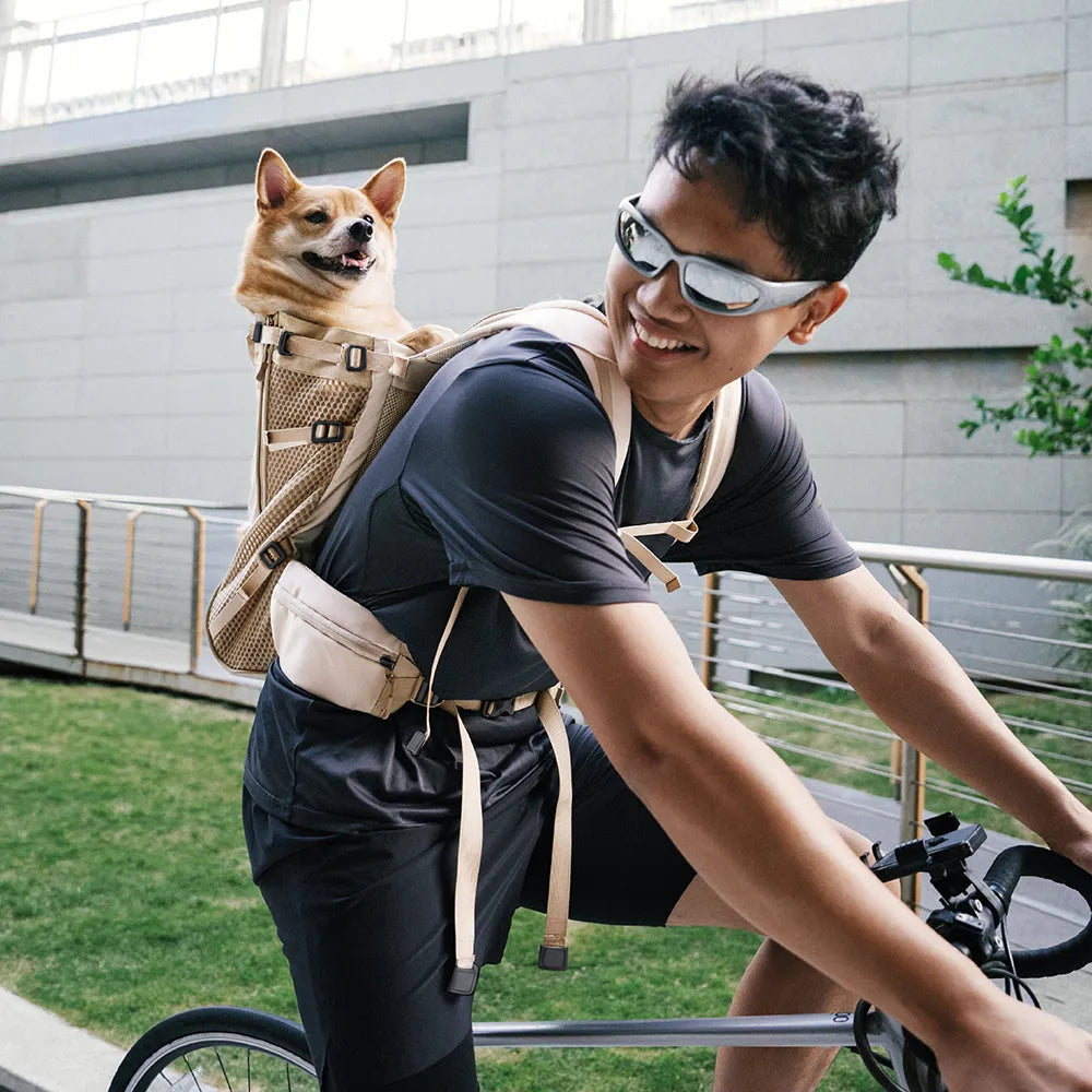 Dog Carrier Backpacks Dog Rucksack Dog Bike Carrier  - Urban Roaming