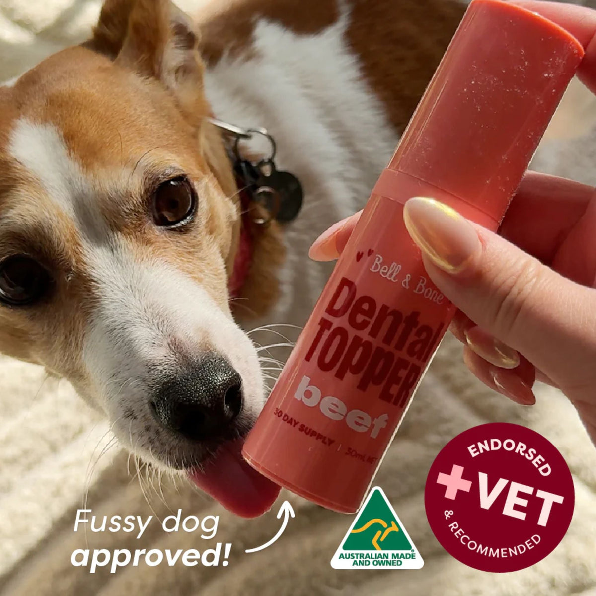 Bell and Bone Dog Dental Topper - Beef