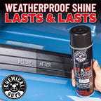 Nice and Wet Tire Shine Trim Coating Spray