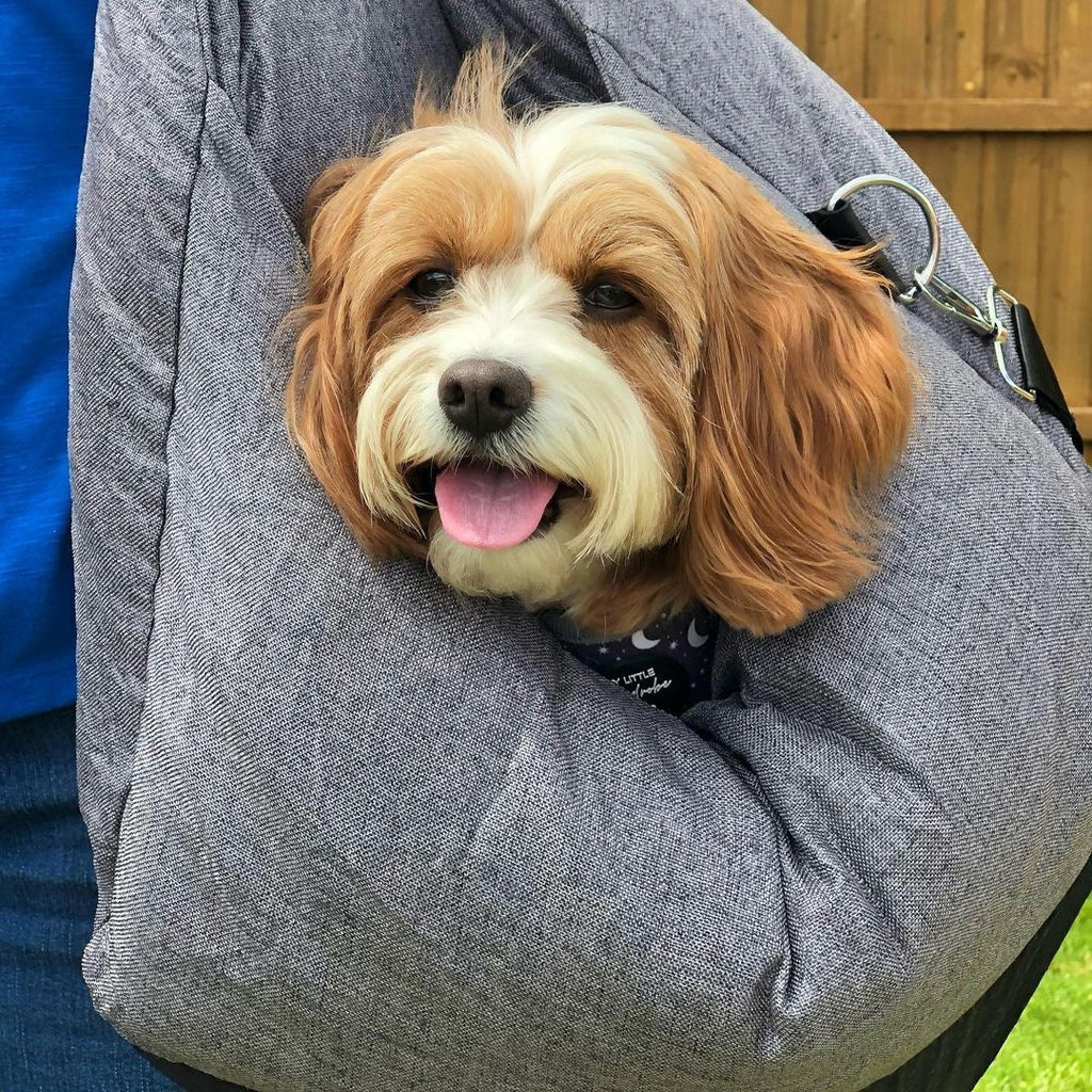 ISOFIX Dog Car Seat Bed with LATCH System - First Class