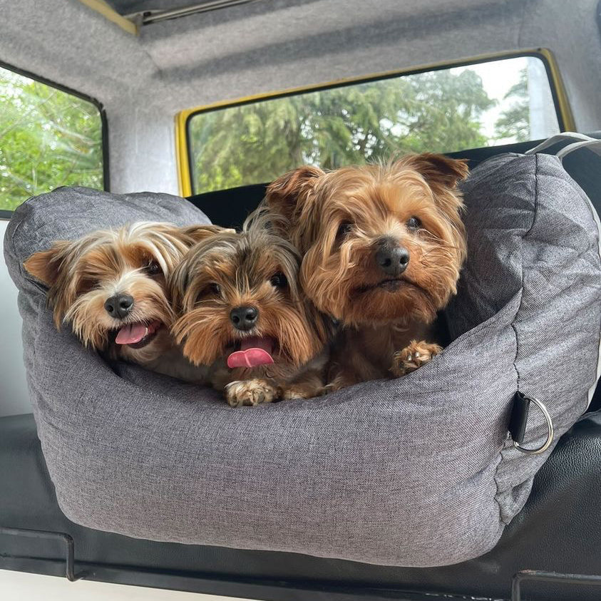 ISOFIX Dog Car Seat Bed with LATCH System - First Class