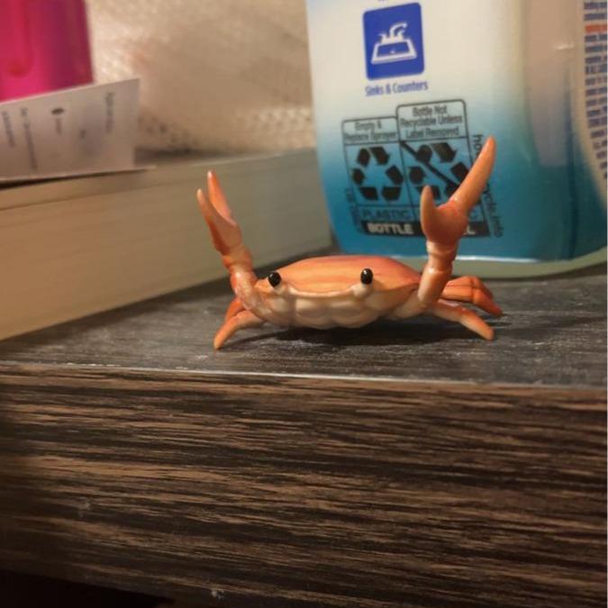 📢🎁Last Day 50% OFF🦀🔥Cute crab-shaped pen holder