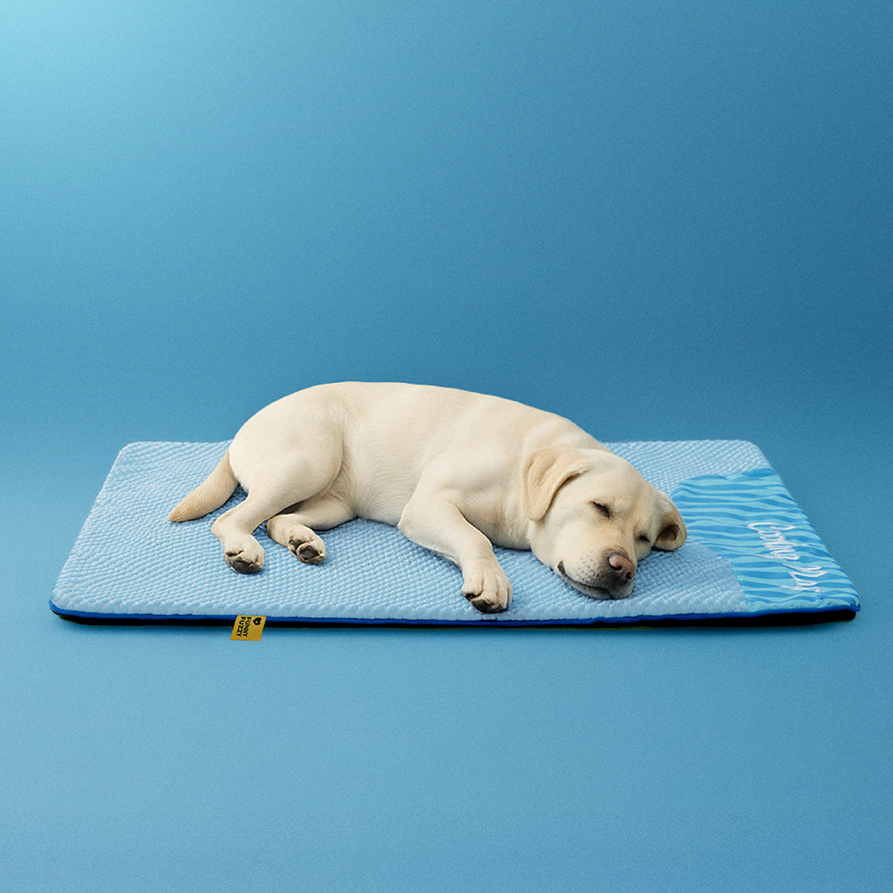 Large Washable Cooling Non-slip Outdoor Dog Mat - Cooling Nap