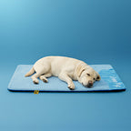 Large Washable Cooling Non-slip Outdoor Dog Mat - Cooling Nap