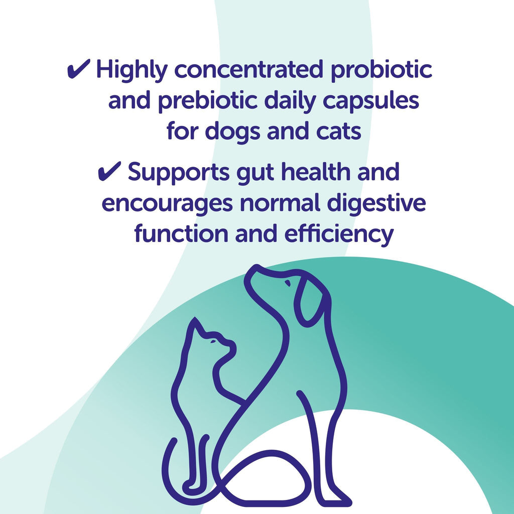 Protexin Veterinary Synbiotic D-C Probiotic & Prebiotic for Cats & Dogs