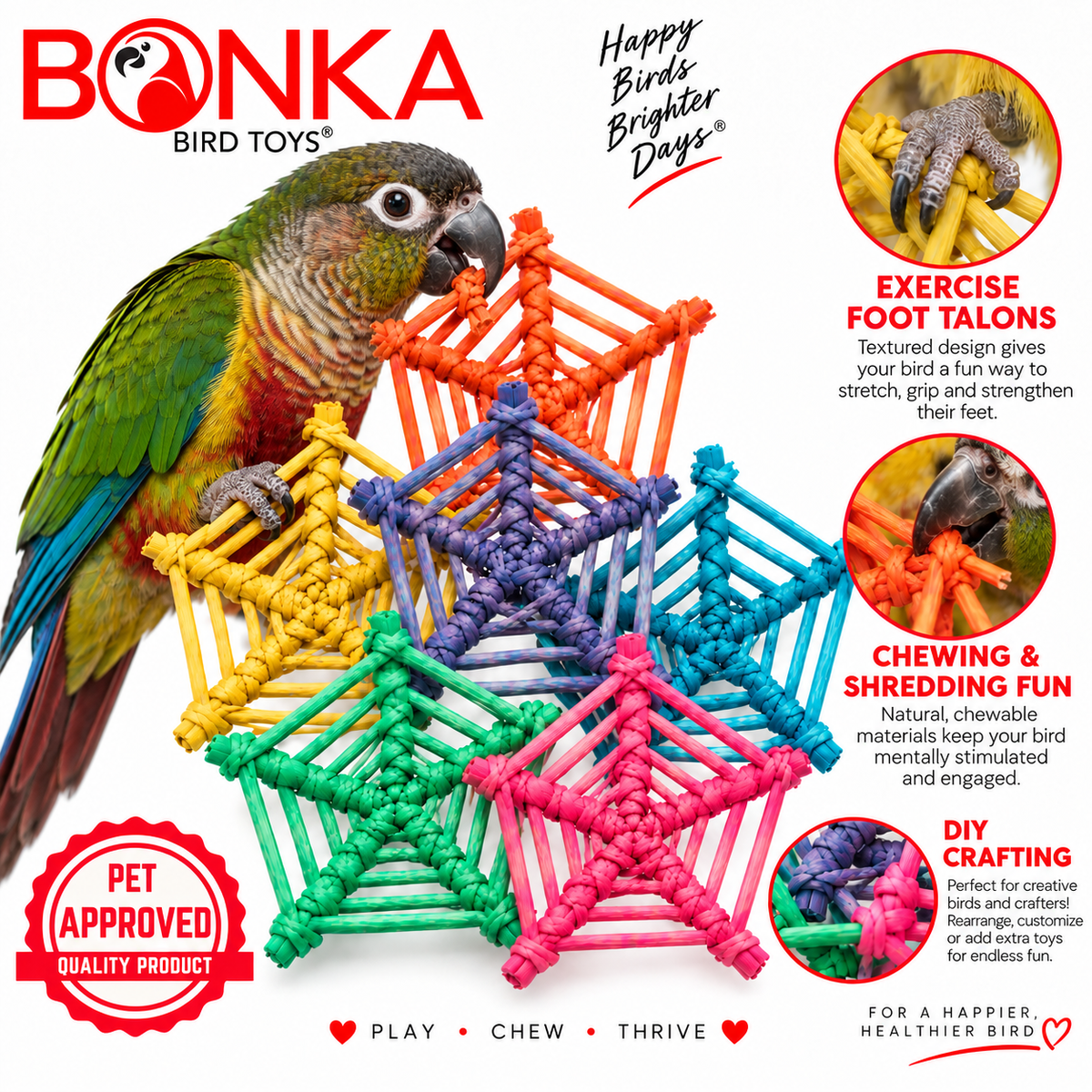 2506 Pk6 Color Vine Web